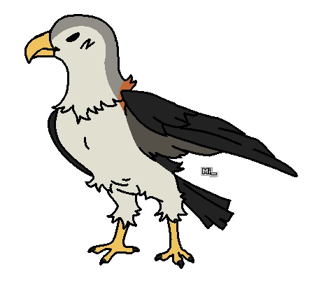 A light gray hawk with a white front half and red-brown back and black wings. The background of the image is plain white.